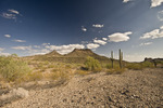 photo thumbnail #9