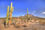 photo thumbnail #14
