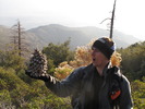 photo thumbnail #4