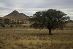 photo thumbnail #14