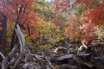 photo thumbnail #15