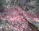 photo thumbnail #5