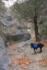 photo thumbnail #9
