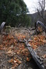 photo thumbnail #13