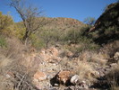photo thumbnail #3