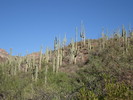 photo thumbnail #8