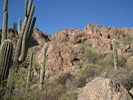 photo thumbnail #13