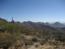 photo thumbnail #5