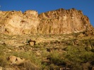 photo thumbnail #2