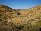 photo thumbnail #7