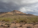 photo thumbnail #2