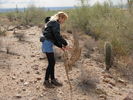 photo thumbnail #3