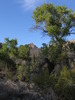 photo thumbnail #14