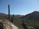 photo thumbnail #6