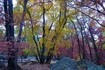photo thumbnail #10