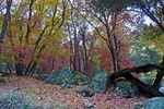 photo thumbnail #11