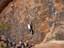 photo thumbnail #8