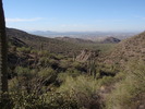 photo thumbnail #3