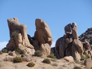 photo thumbnail #9