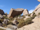 photo thumbnail #12