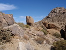 photo thumbnail #13