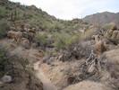 photo thumbnail #12