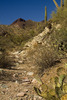 photo thumbnail #9