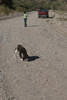 photo thumbnail #11
