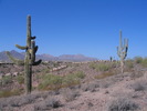 photo thumbnail #7