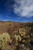 photo thumbnail #7