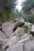 photo thumbnail #15