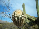 photo thumbnail #2