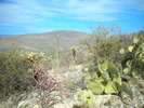 photo thumbnail #5