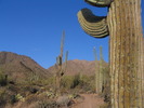 photo thumbnail #3