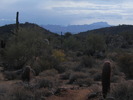 photo thumbnail #11