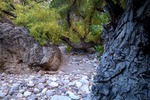 photo thumbnail #7