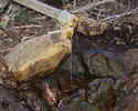 photo thumbnail #1