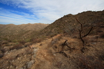 photo thumbnail #3