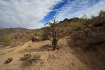 photo thumbnail #6