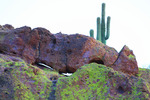 photo thumbnail #1