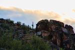 photo thumbnail #2