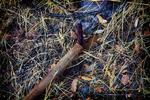 photo thumbnail #11