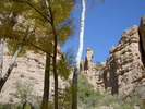 photo thumbnail #11