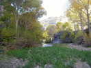 photo thumbnail #12