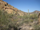 photo thumbnail #6