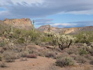 photo thumbnail #12
