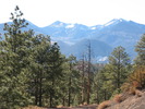 photo thumbnail #7