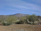 photo thumbnail #2
