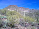 photo thumbnail #3