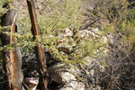 photo thumbnail #12